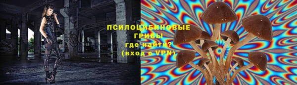 MDMA Бородино