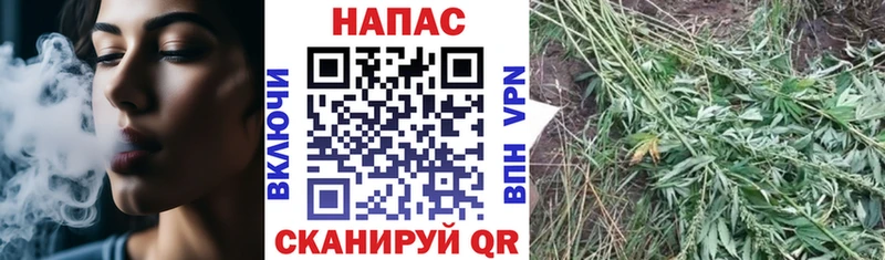 Канабис Amnesia  где можно купить   Ярцево 